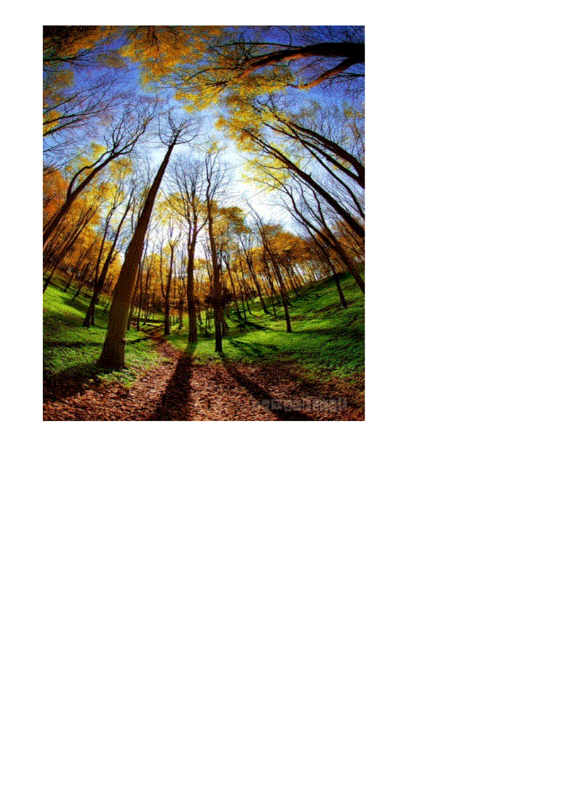 image for page Anh dep