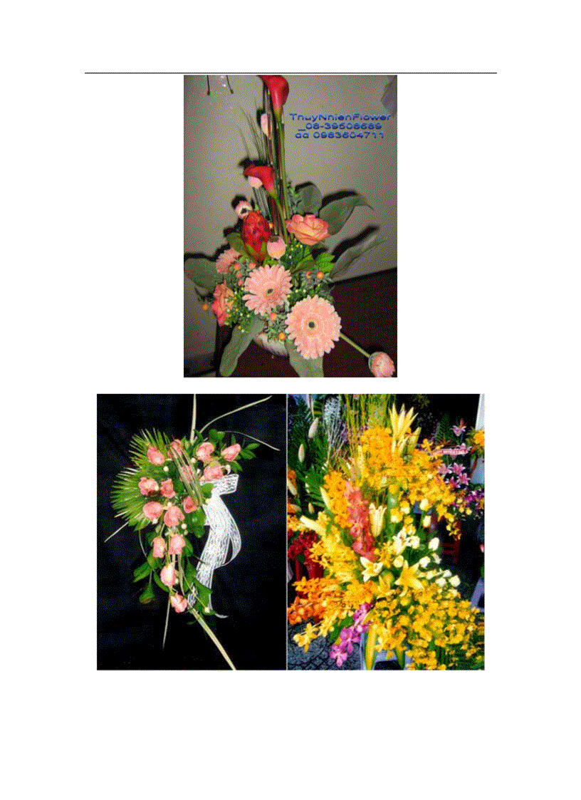 image for page Giai tri