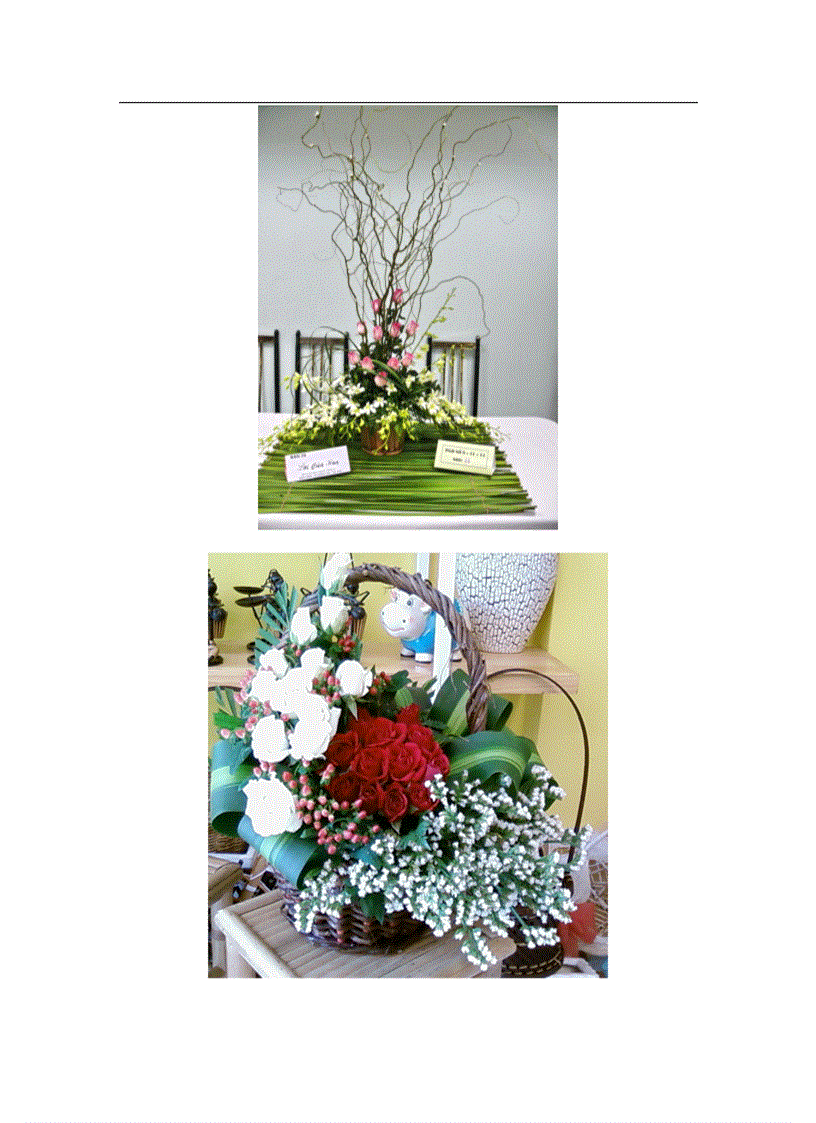 image for page Giai tri