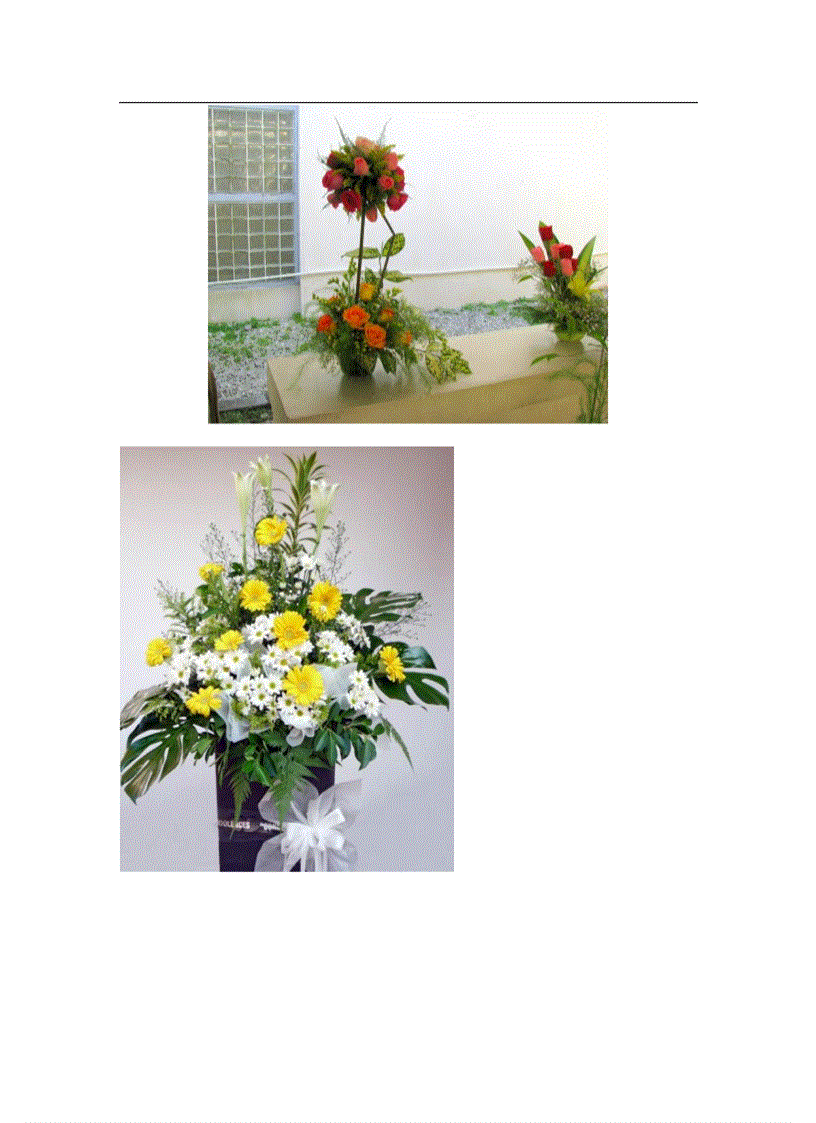 image for page Giai tri