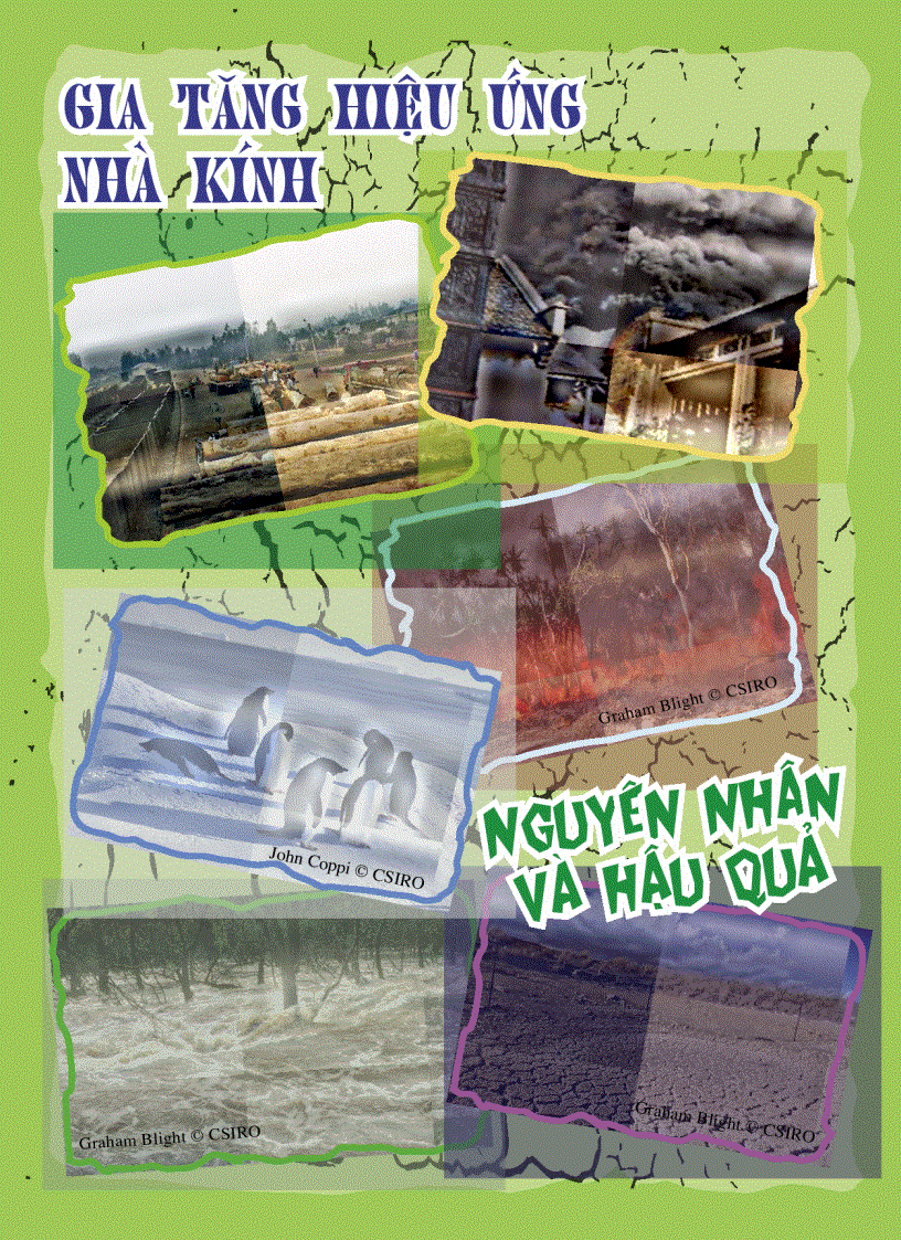 image for page Sự đa dạng về chủ đề