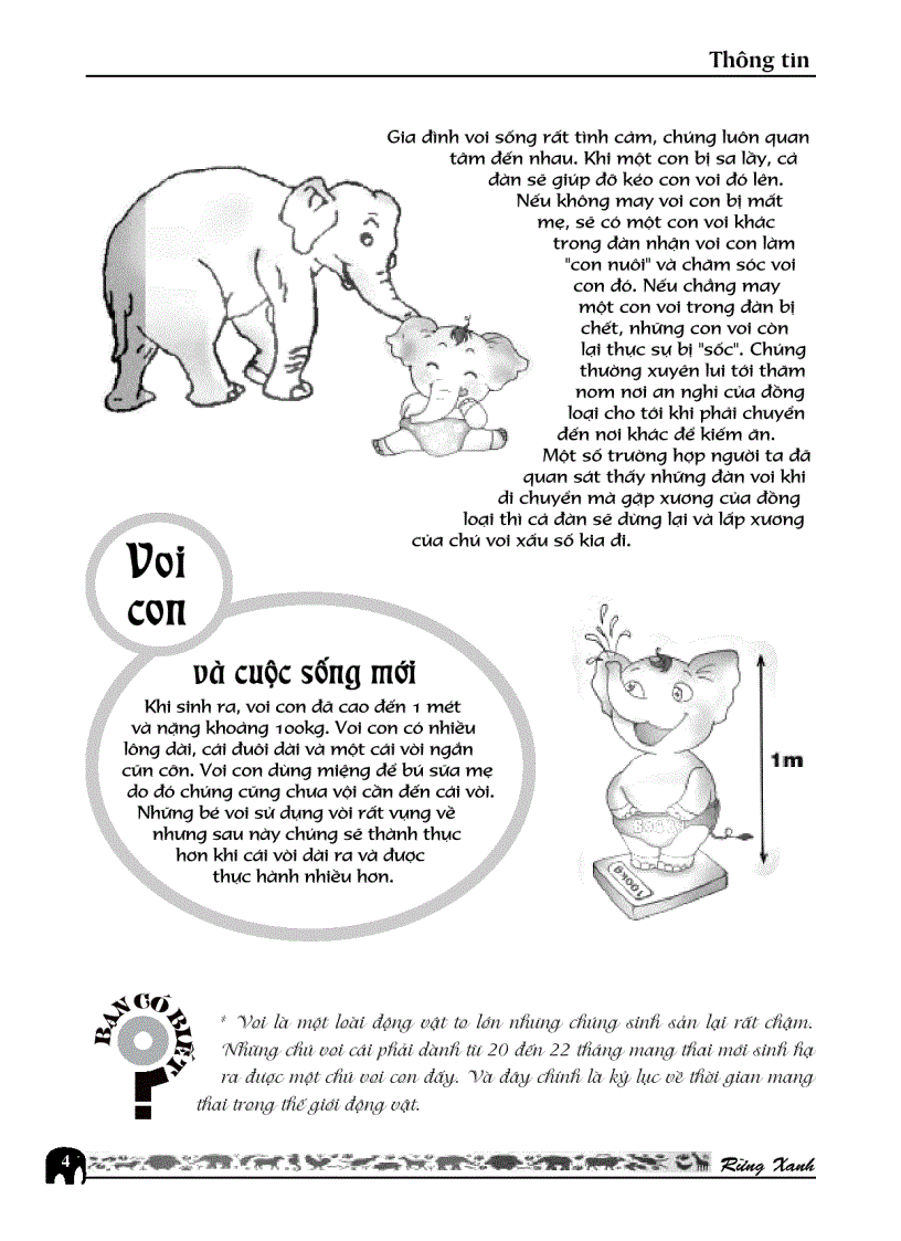 image for page Sự đa dạng về chủ đề