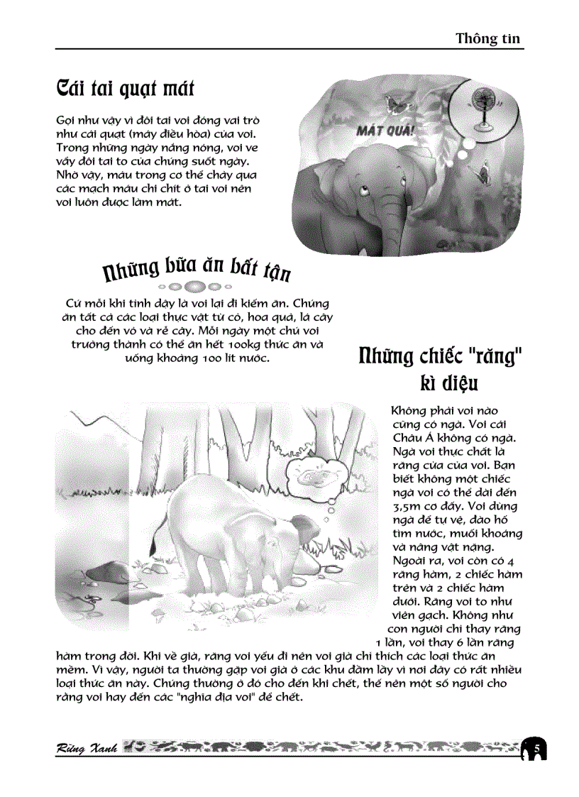 image for page Sự đa dạng về chủ đề