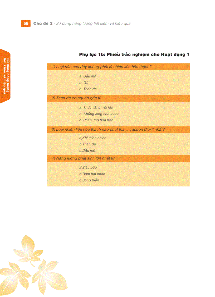 image for page Tập huấn GDMT của VVOB tập 2