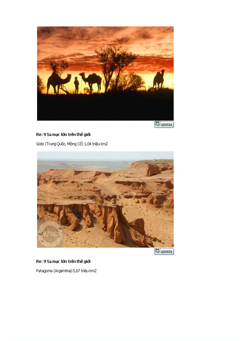 image for page 9 sa mạc lớn nhất thế giới