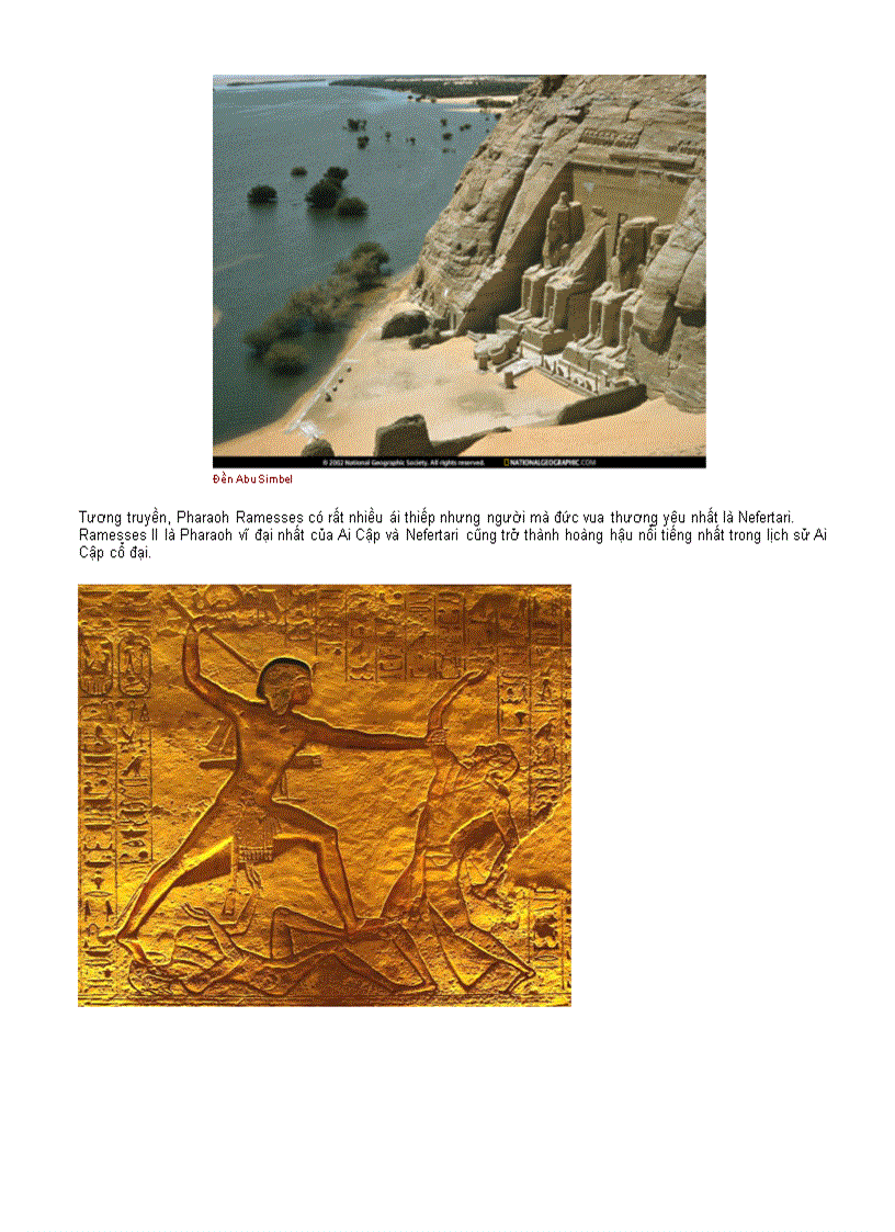 image for page Chân dung cuộc sống 1