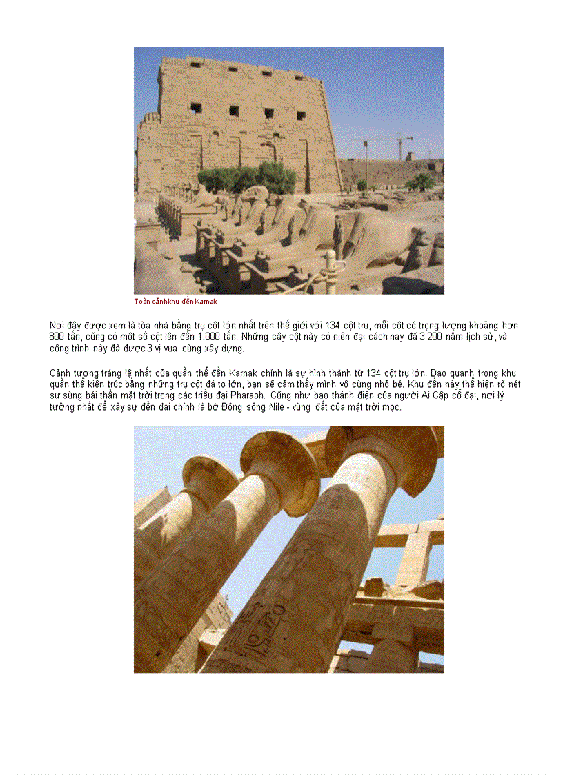 image for page Chân dung cuộc sống 1