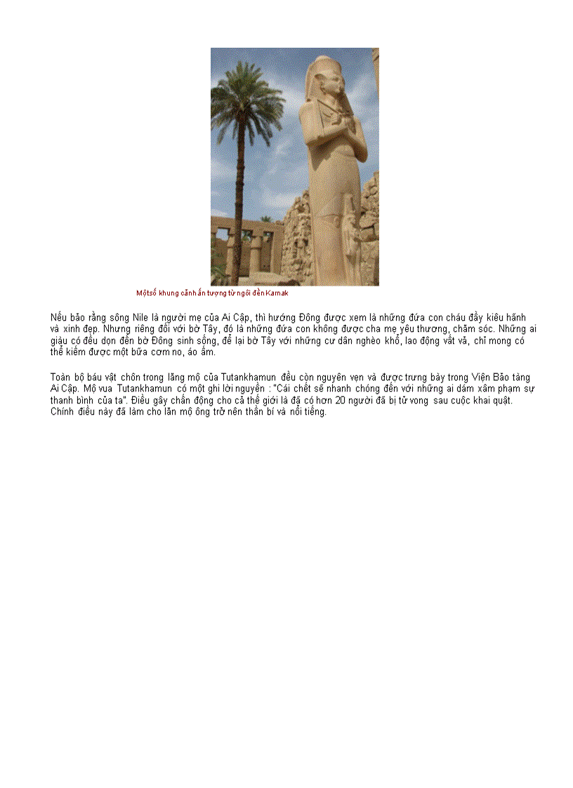 image for page Chân dung cuộc sống 1