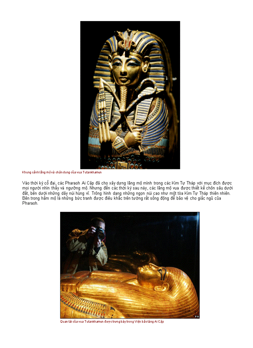 image for page Chân dung cuộc sống 1