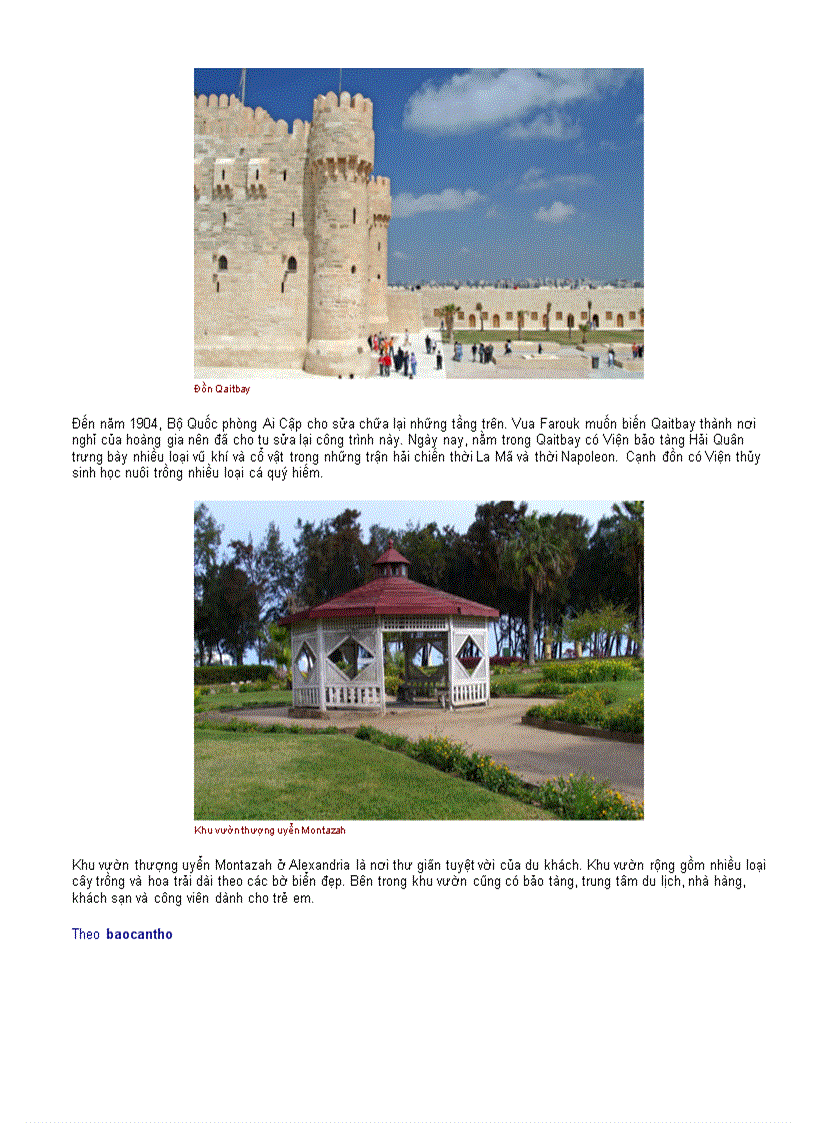 image for page Chân dung cuộc sống 1