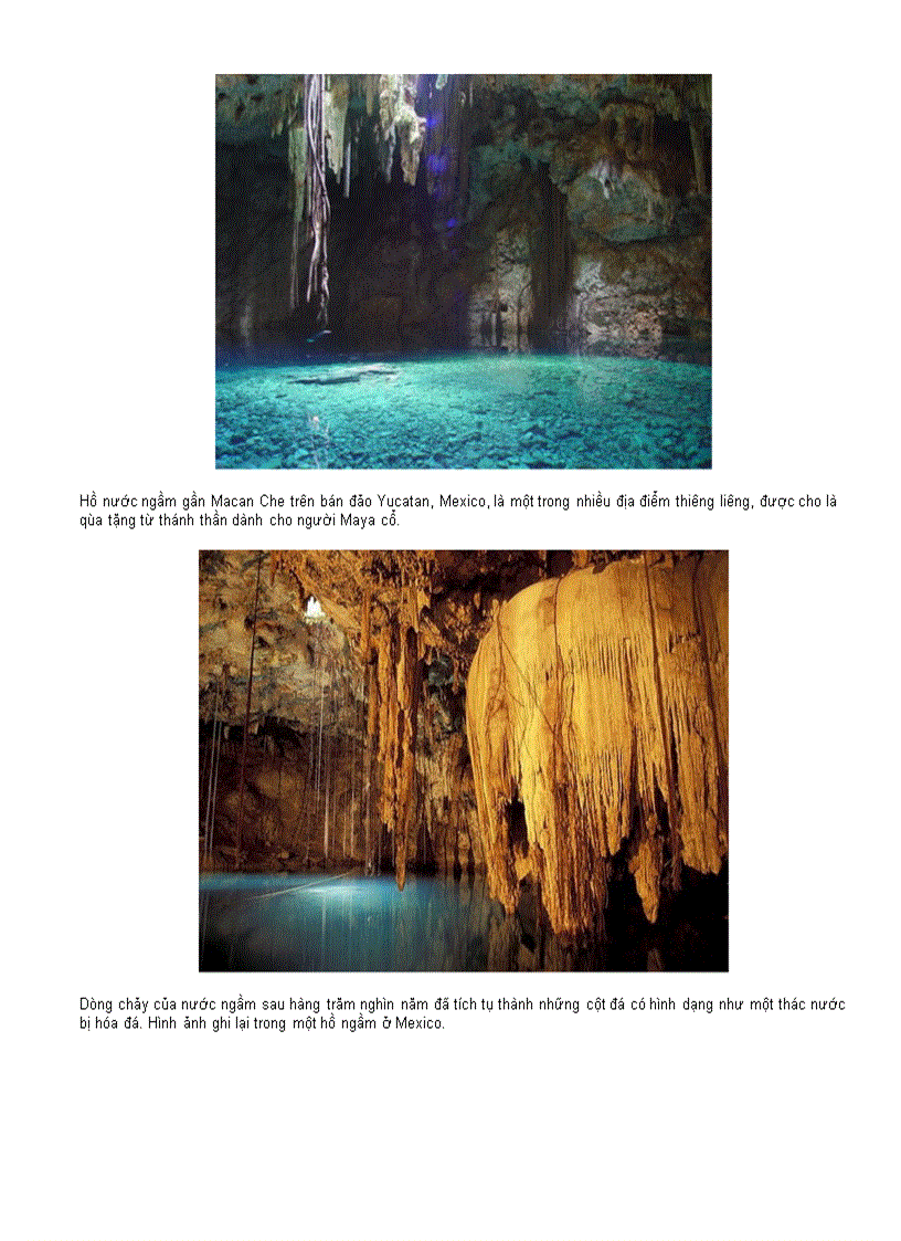 image for page Chân dung cuộc sống 2