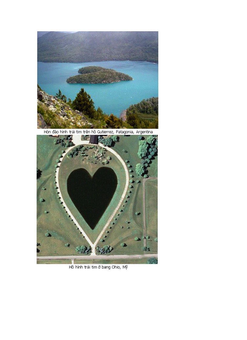 image for page Chùm ảnh vũ khúc trái tim