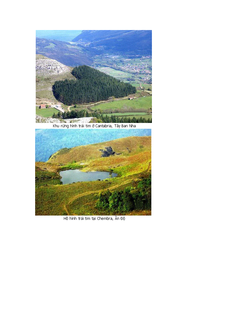 image for page Chùm ảnh vũ khúc trái tim