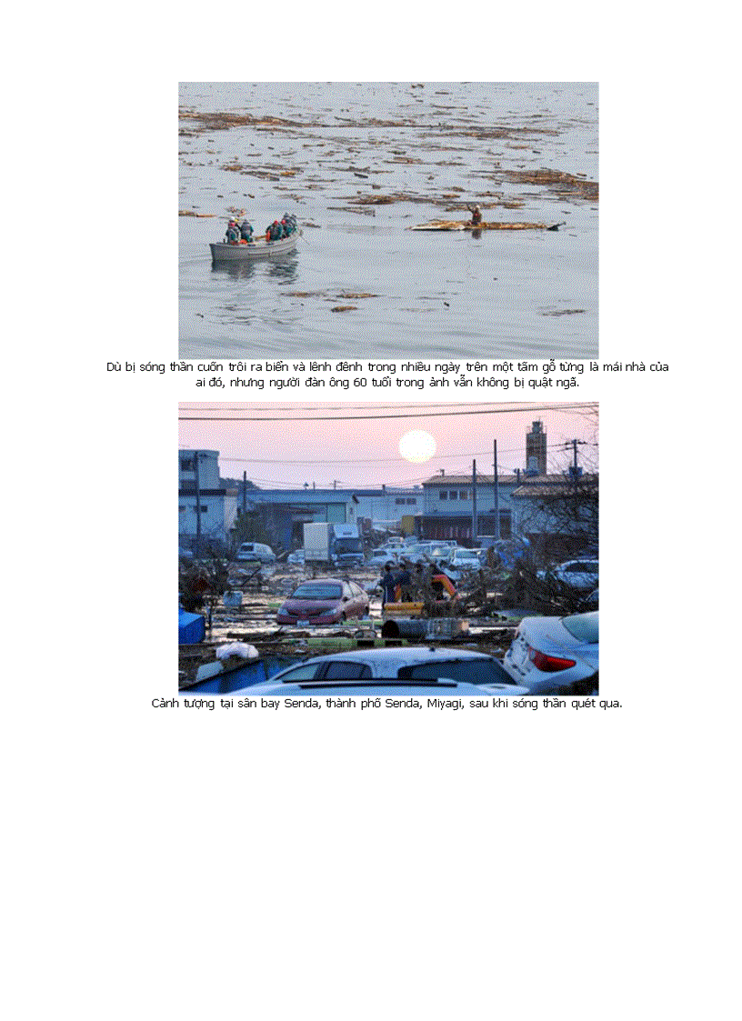 image for page Hình ảnh về sóng thần Nhật Bản