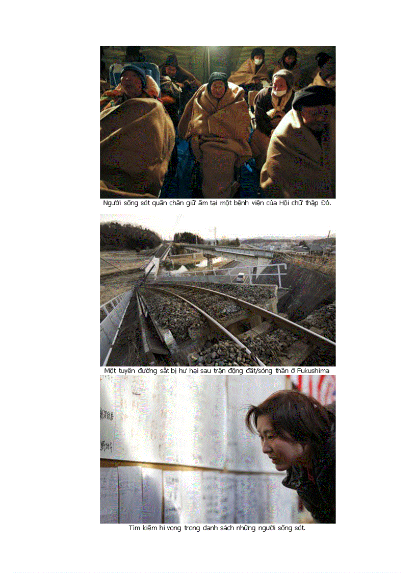 image for page Hình ảnh về sóng thần Nhật Bản