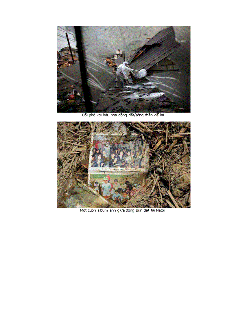 image for page Hình ảnh về sóng thần Nhật Bản