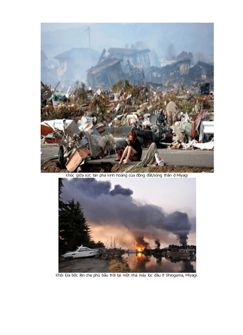 image for page Hình ảnh về sóng thần Nhật Bản