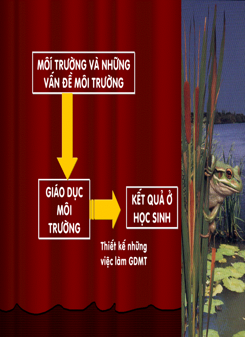 image for page Môi trường và giáo dục môi trường