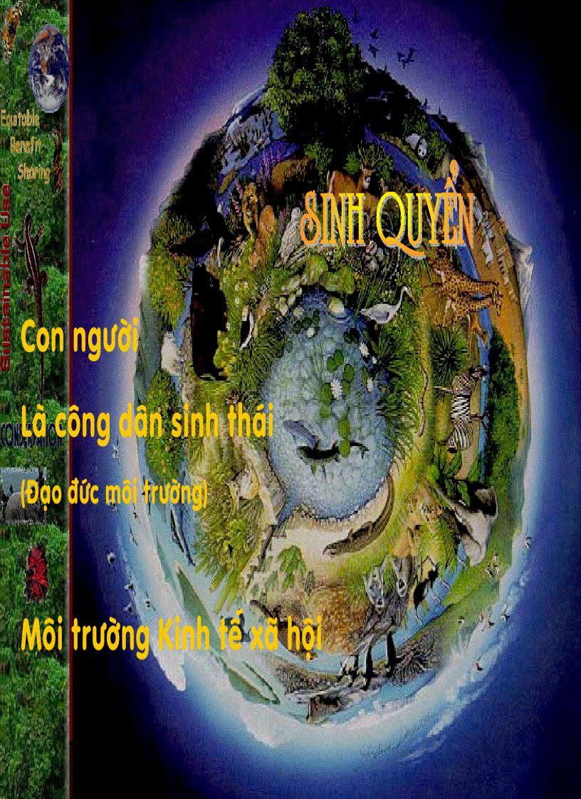 image for page Môi trường và giáo dục môi trường