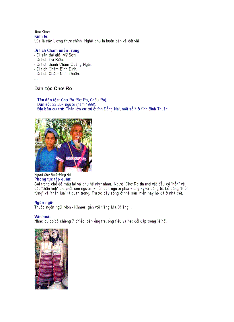 image for page Thông tin về các dân tộc Việt Nam