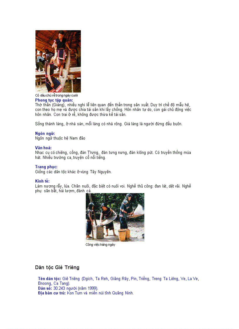 image for page Thông tin về các dân tộc Việt Nam