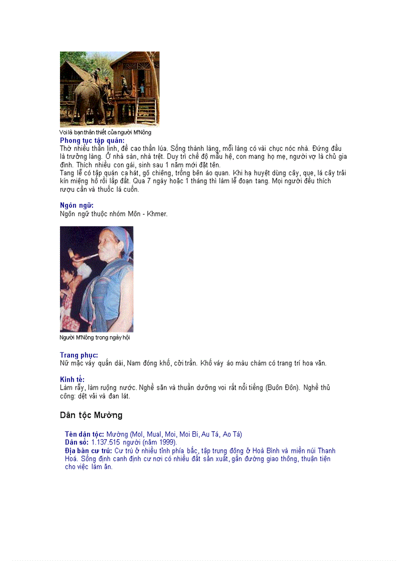 image for page Thông tin về các dân tộc Việt Nam