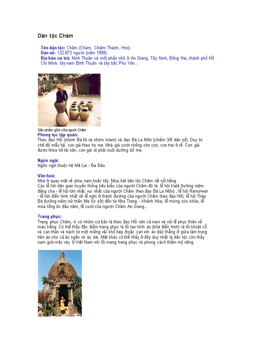 image for page Các dân tộc ở Việt Nam