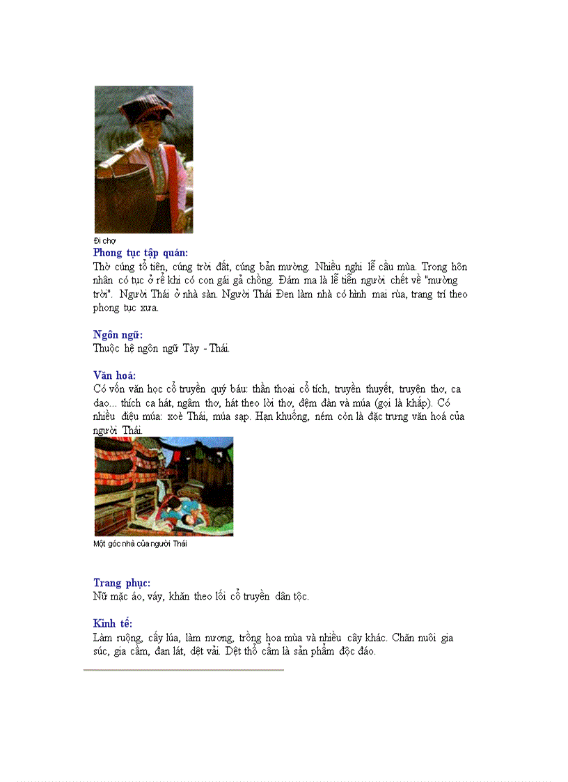 image for page Các dân tộc ở Việt Nam