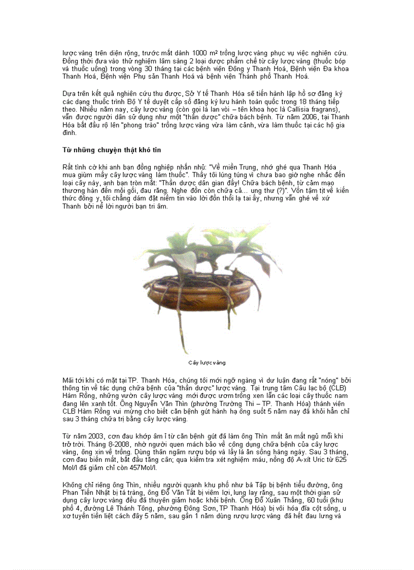 image for page Cây thuốc cần tham khảo thêm