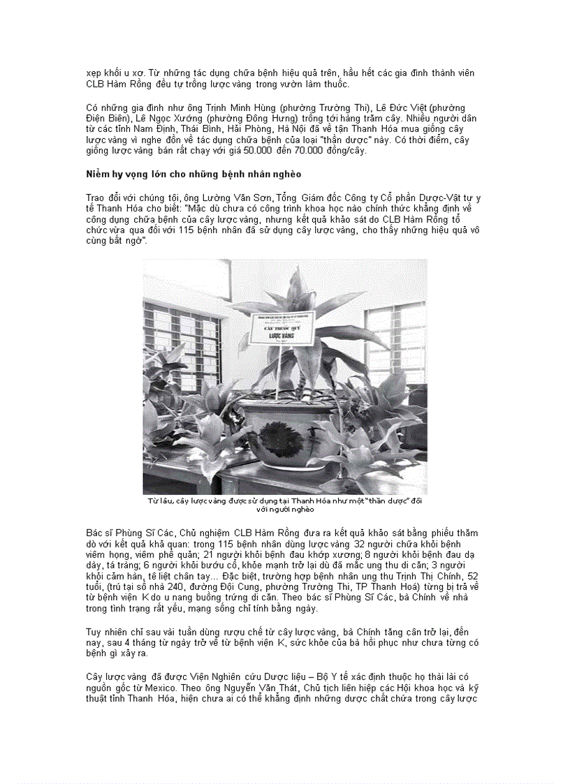 image for page Cây thuốc cần tham khảo thêm