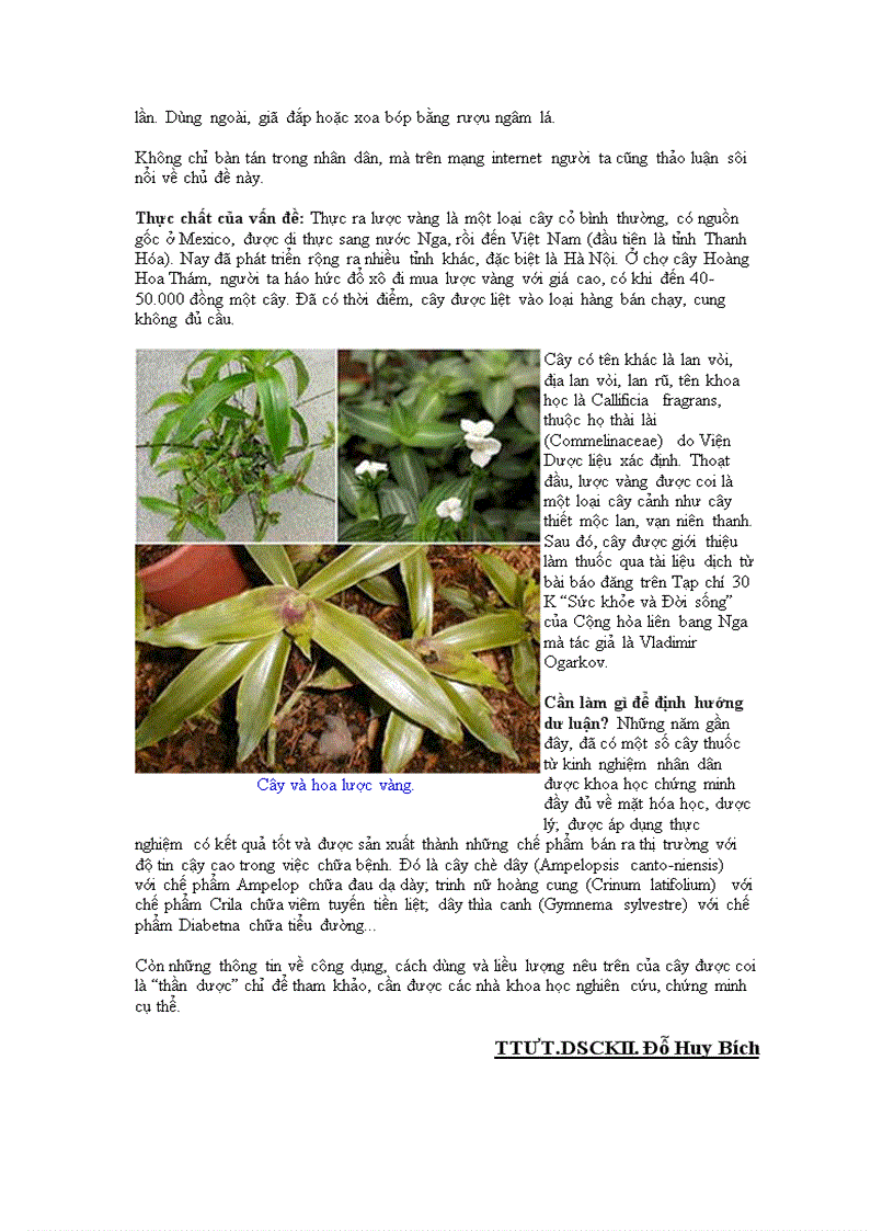 image for page Cây thuốc cần tham khảo thêm