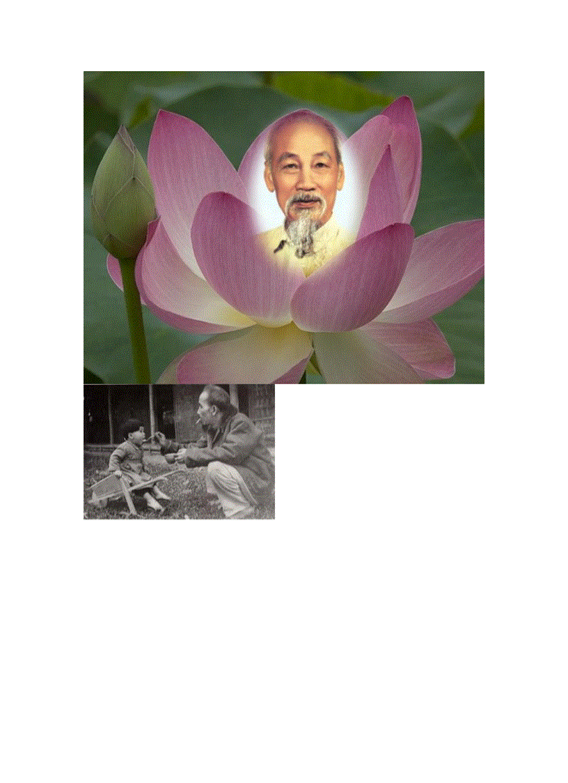 image for page Chùm ảnh về Bác Hồ