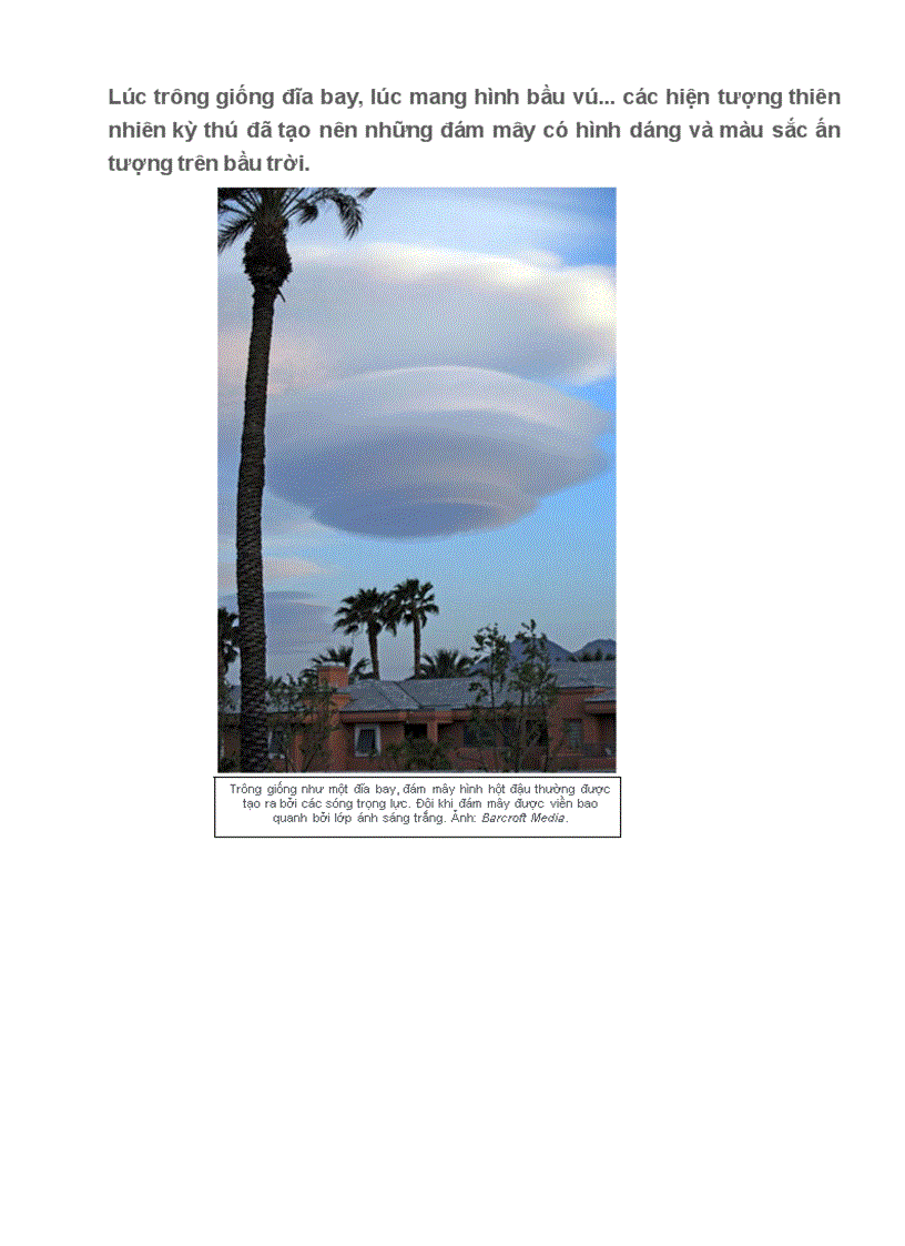 image for page Chuyện lạ chưa có lời giải thích đây