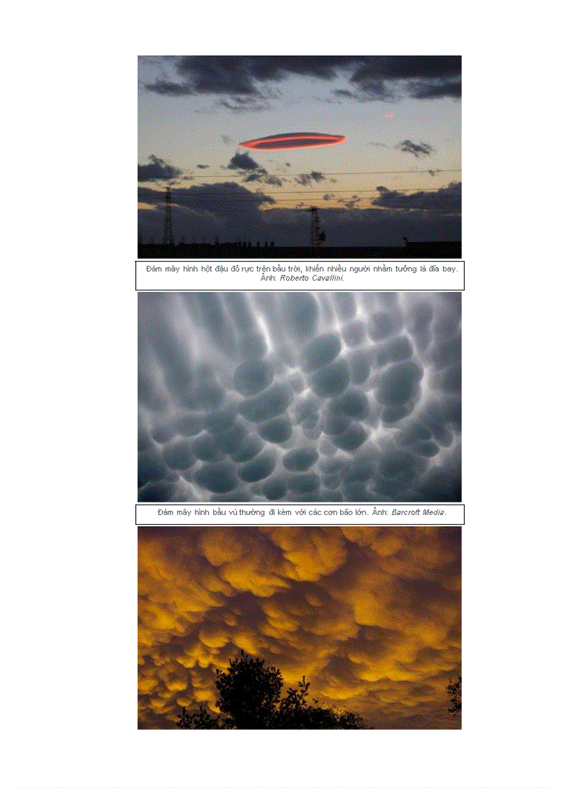 image for page Chuyện lạ chưa có lời giải thích đây