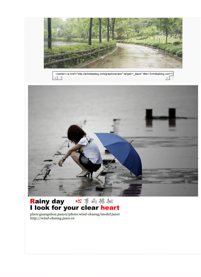 image for page Code ảnh động trang trí blof VIOLET