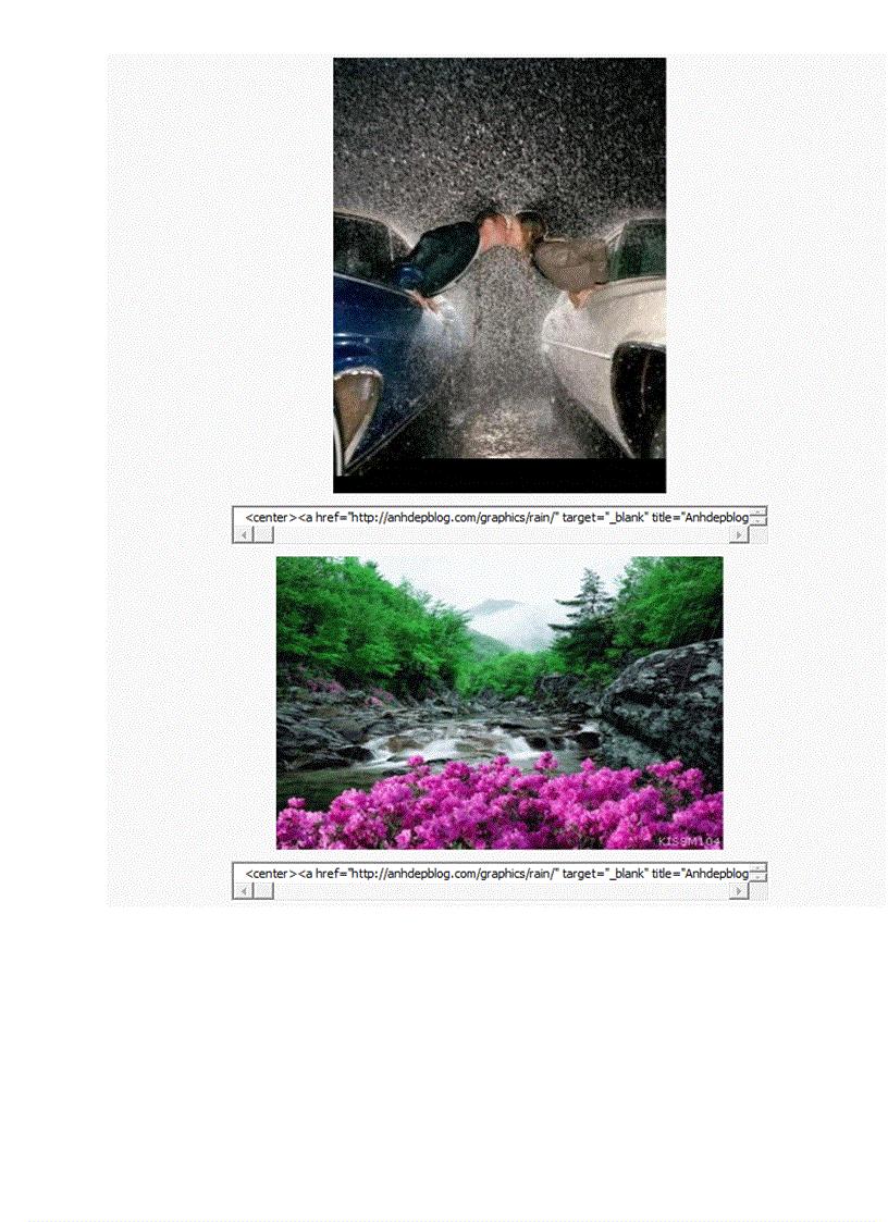 image for page Code ảnh động trang trí blof VIOLET