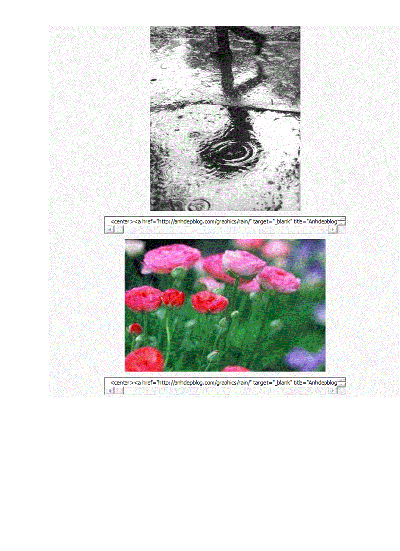 image for page Code ảnh động trang trí blof VIOLET