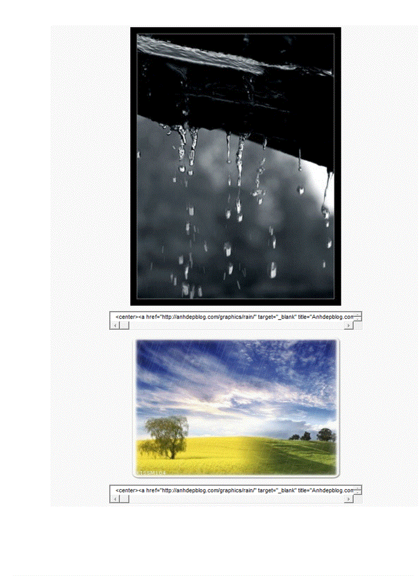 image for page CODE ảnh động trang trí blog