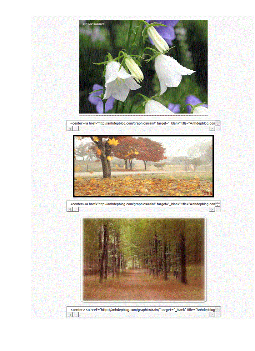 image for page CODE ảnh động trang trí blog