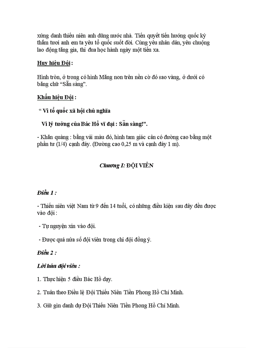 image for page Điều lệ đội tntp hcm