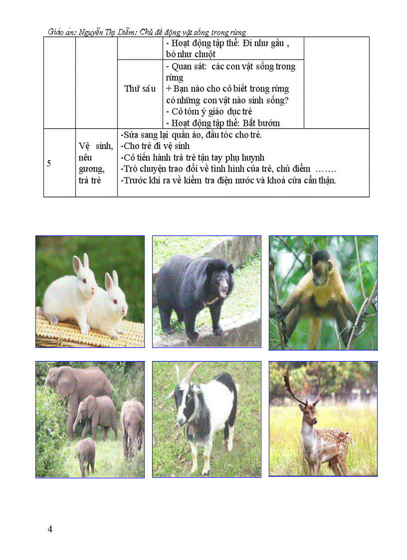 image for page Giao an chu de dong vat song trong rung