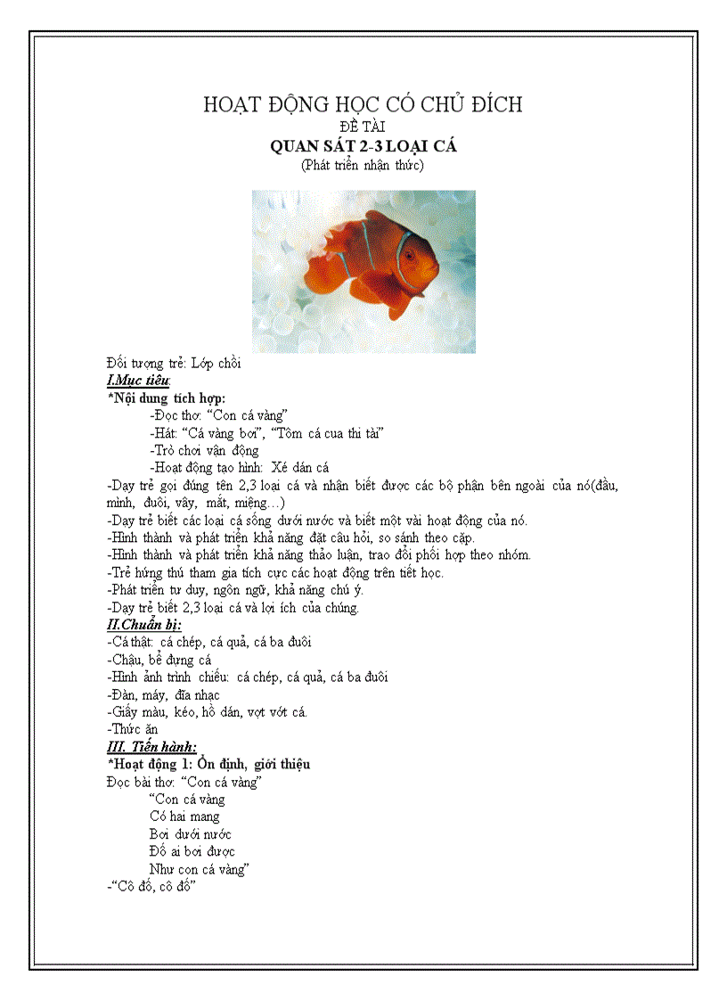 image for page Giao an tìm hiểu một số loại cá