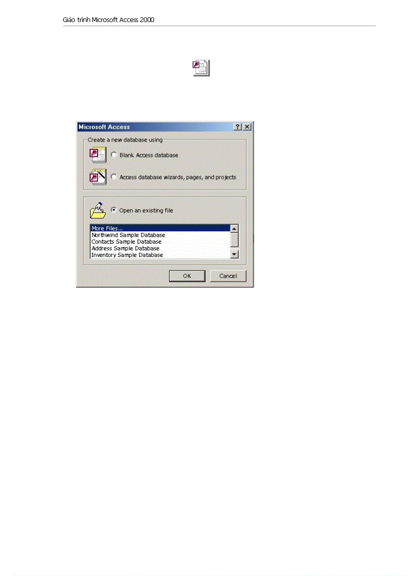 image for page Giao trinh Microsoft Access 2000