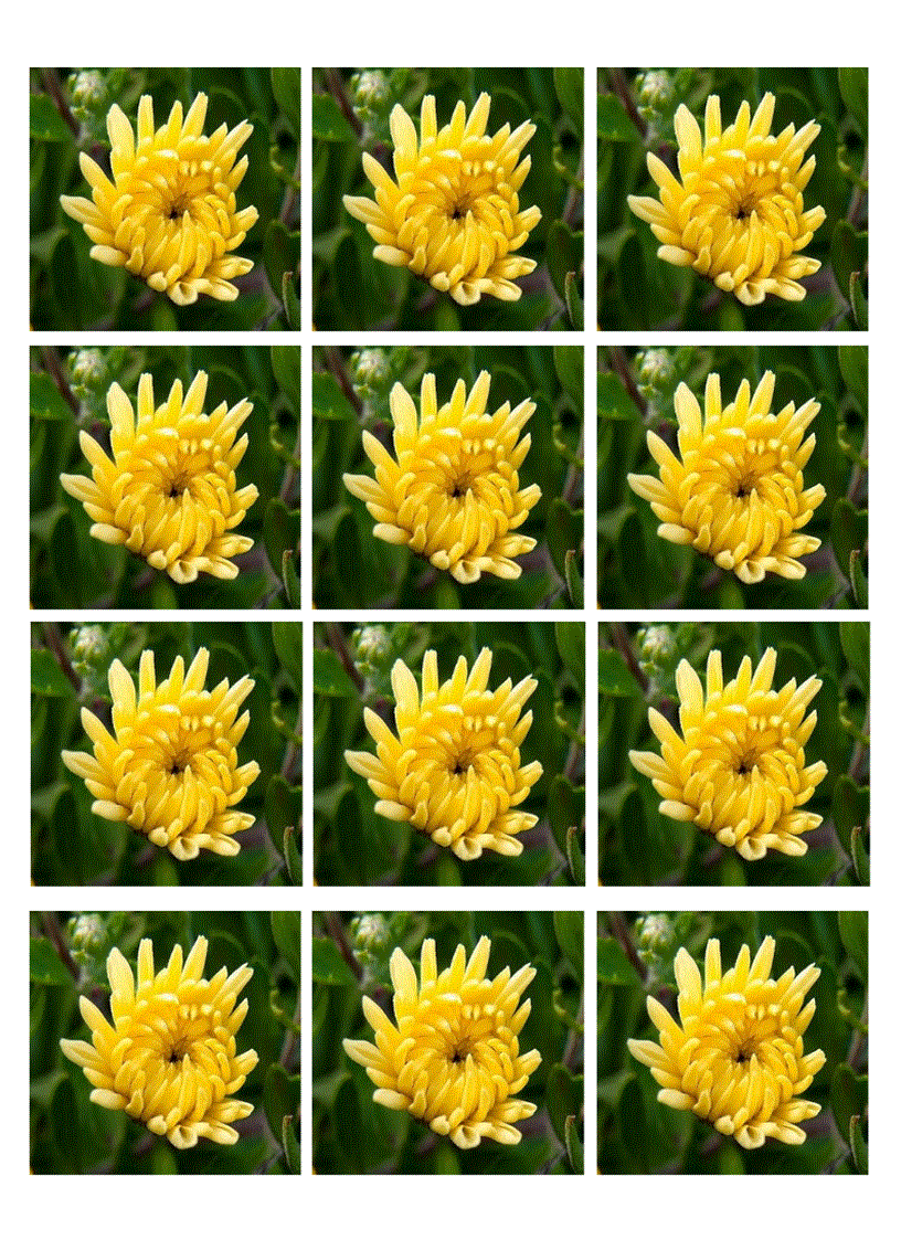 image for page Lam quen chu u u 1