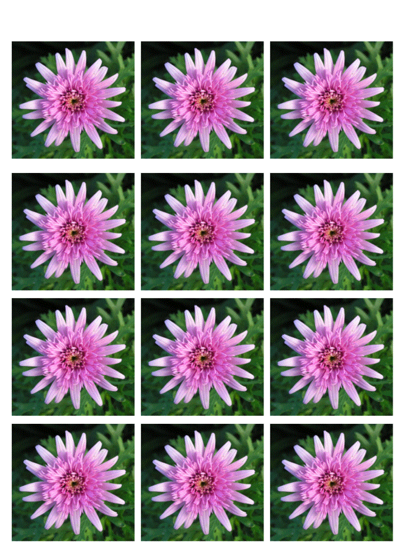 image for page Lam quen chu u u 1