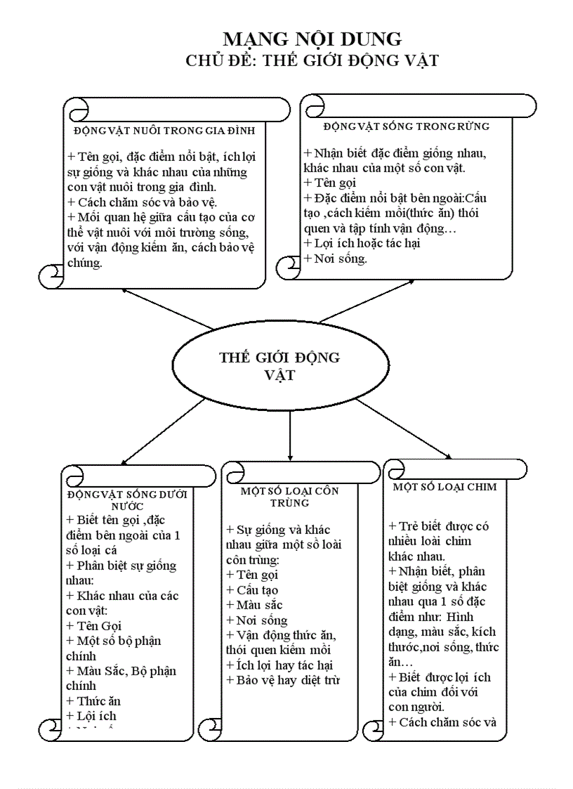 image for page Mạng nội dung chủ điểm động vật