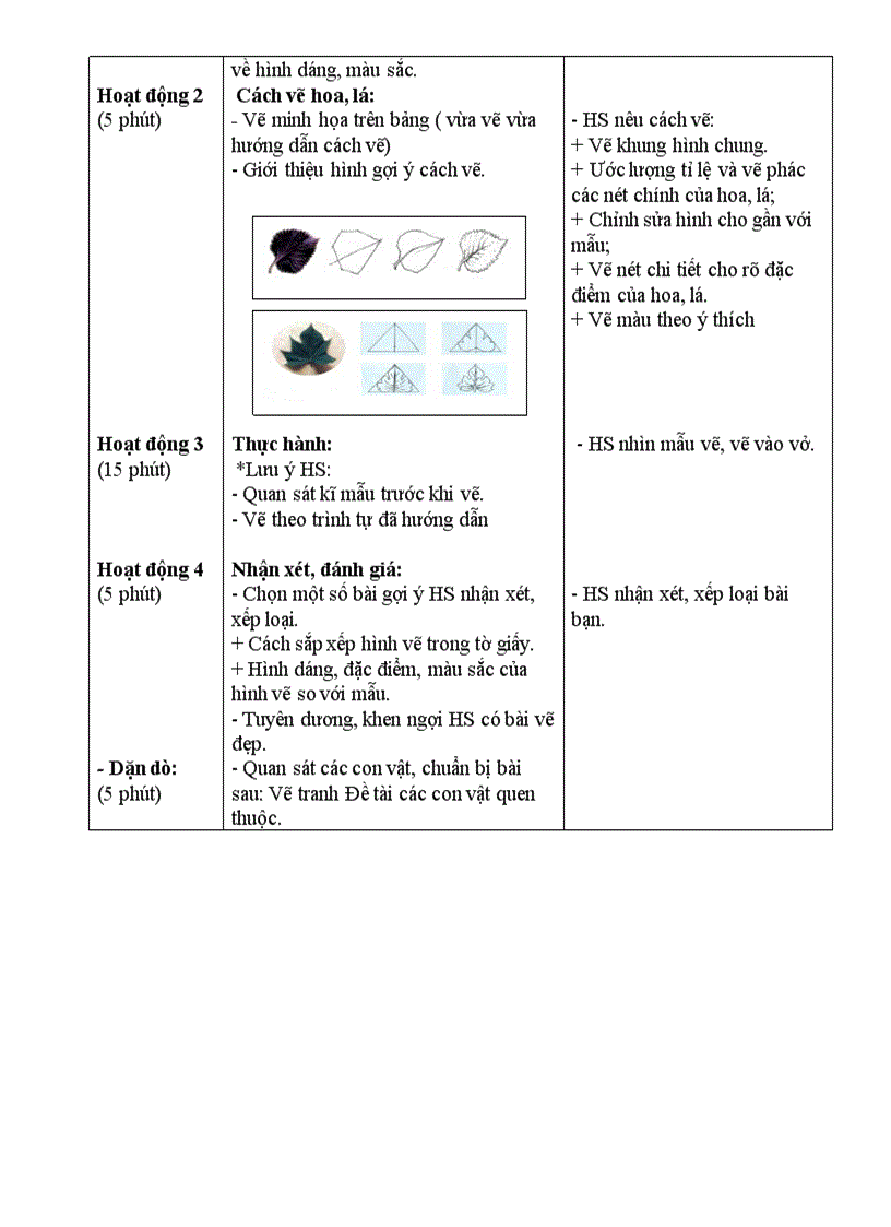 image for page MT4 Tuần 2