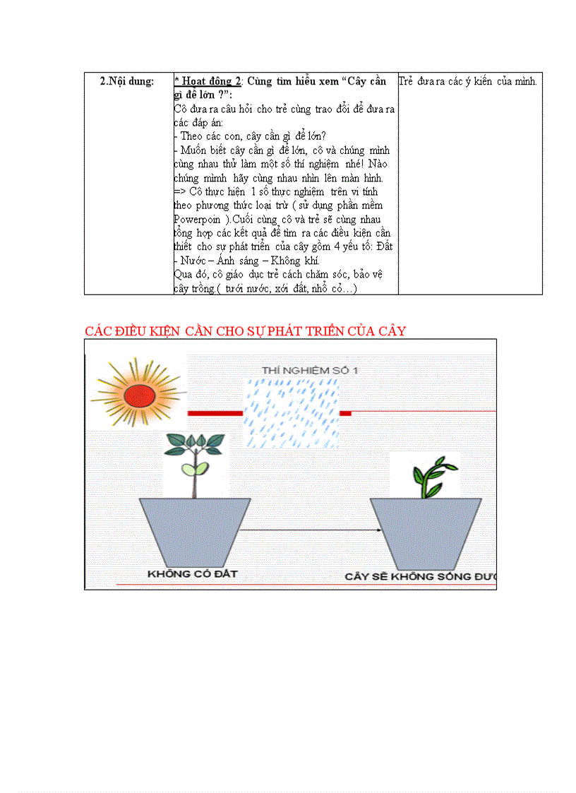 Quá trình phát triển của cây