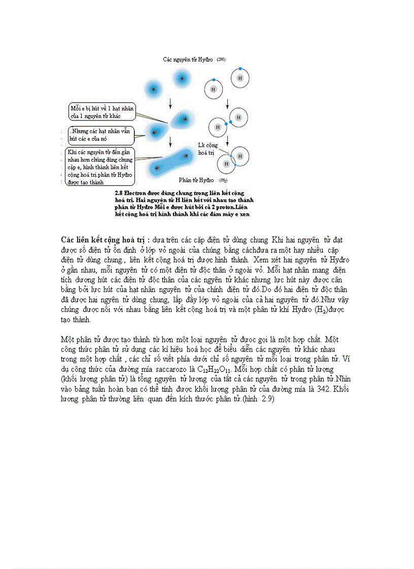image for page Sinh học dai cuong
