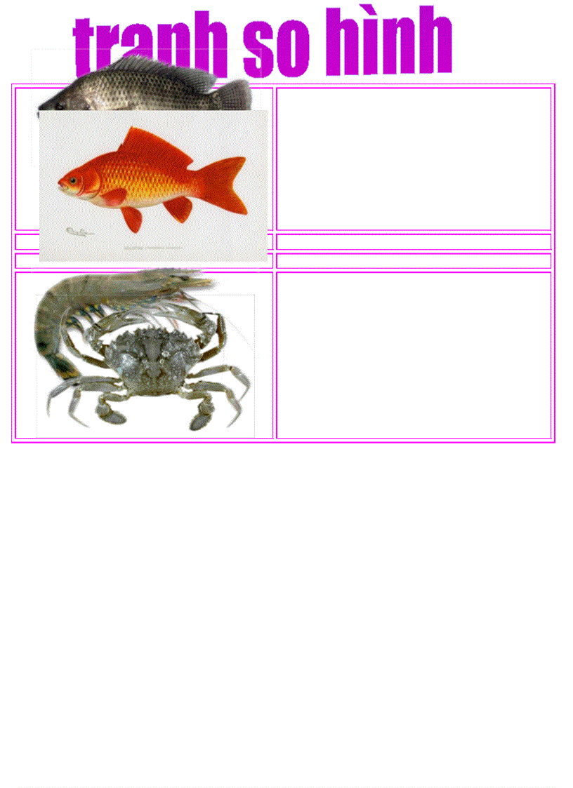 image for page Tranh so hinh tu lam day a